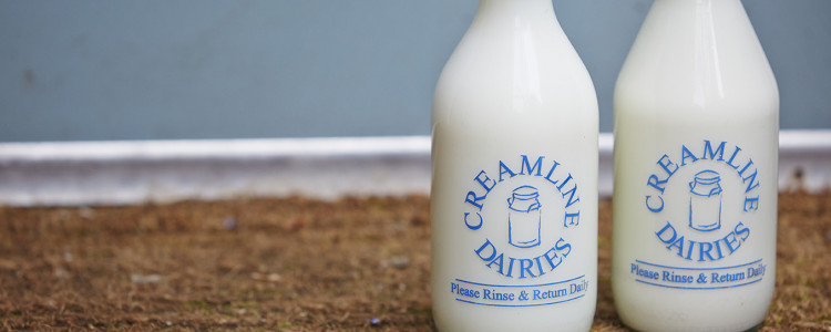Creamline Celebrates World Milk Day