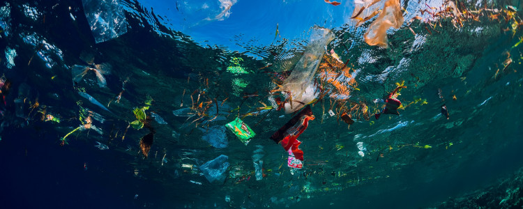 This National Marine Week Turn off the Plastic Tap